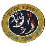 Apollo 14 backup crew patch replica